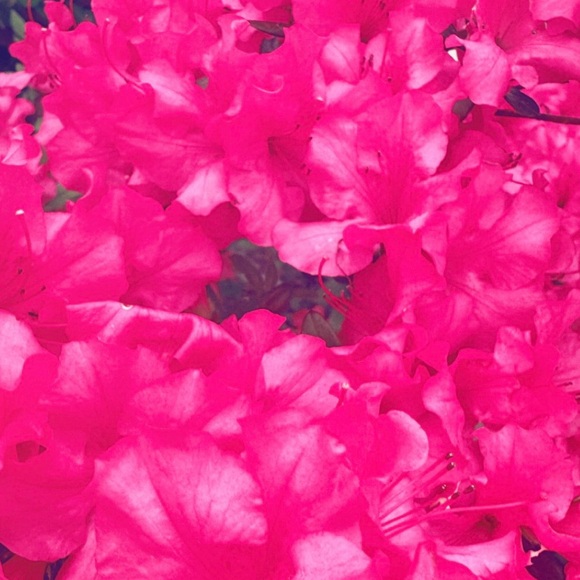 maya_radcliff